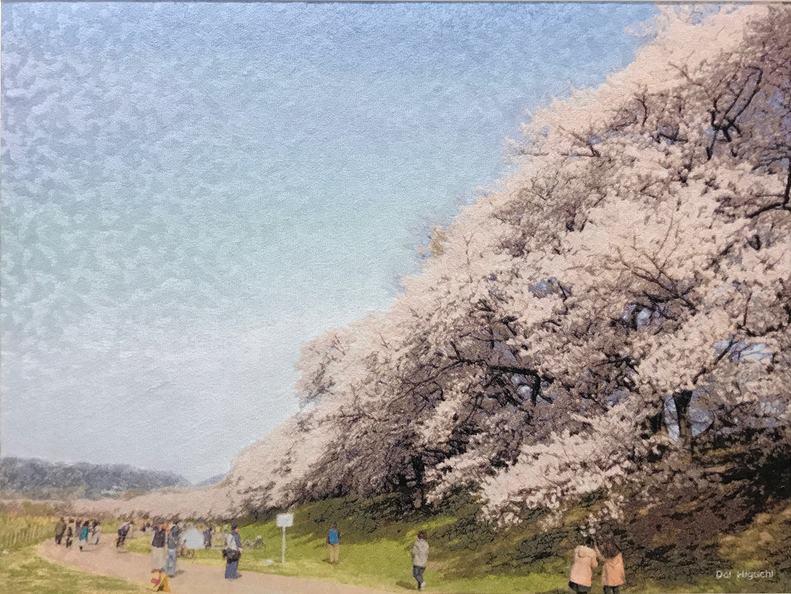 背割堤の桜(2019作）　空の移り変わりに違和感を感じない